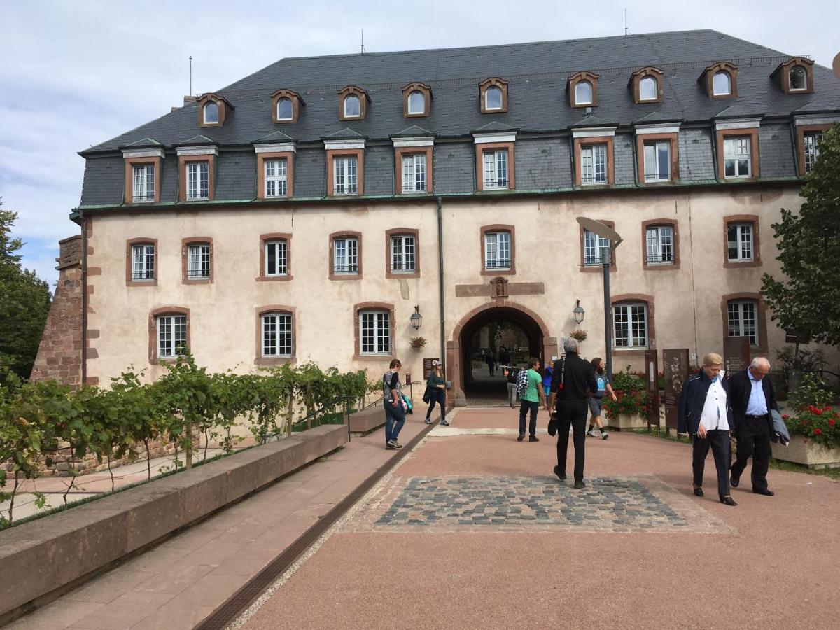 Maison Independante De Montagne En Alsace Bellefosse Esterno foto