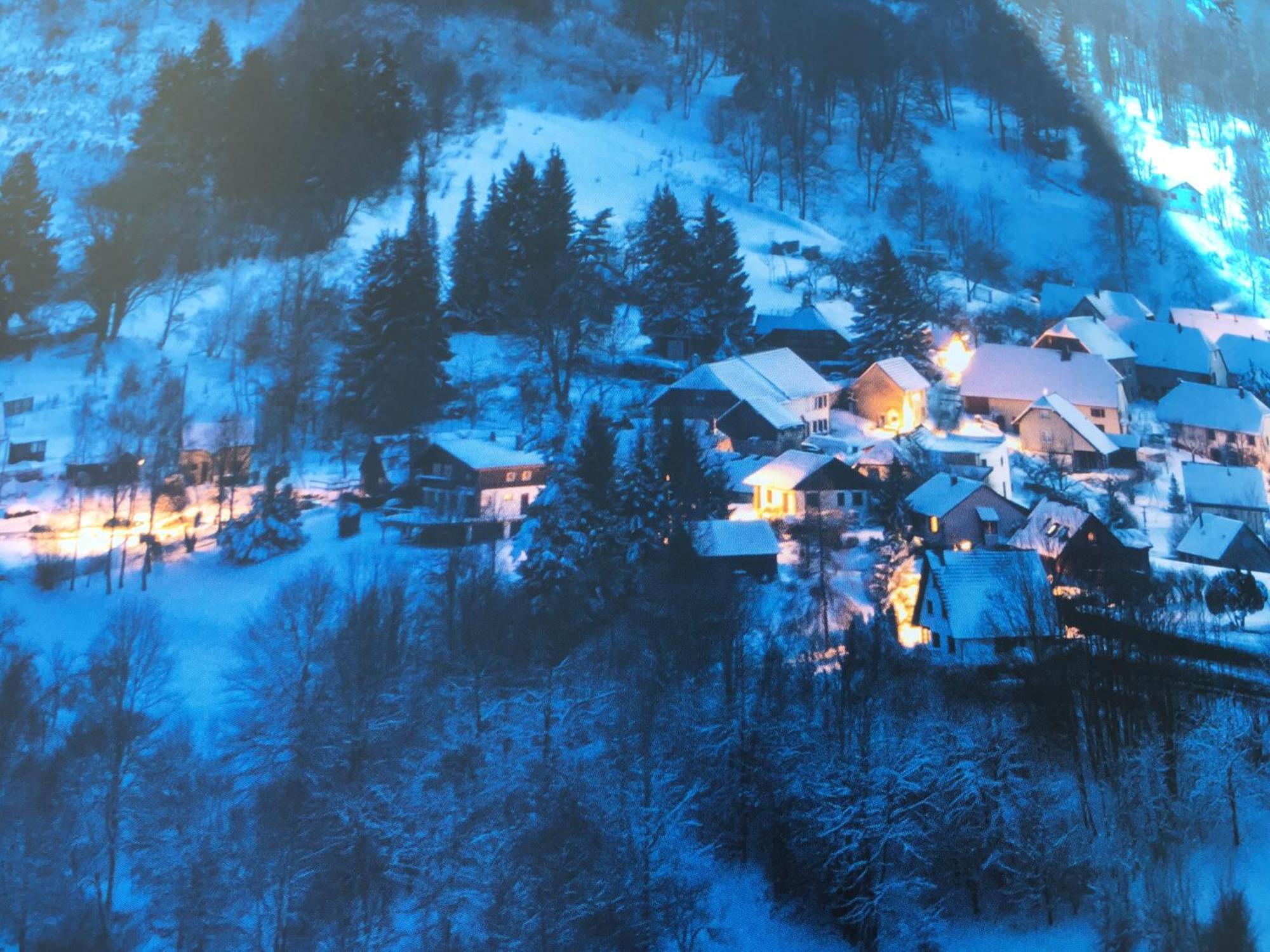 Maison Independante De Montagne En Alsace Bellefosse Esterno foto
