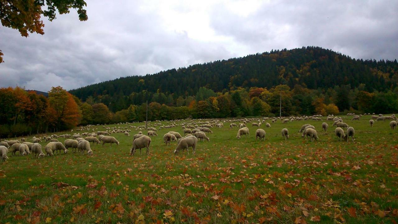 Maison Independante De Montagne En Alsace Bellefosse Esterno foto